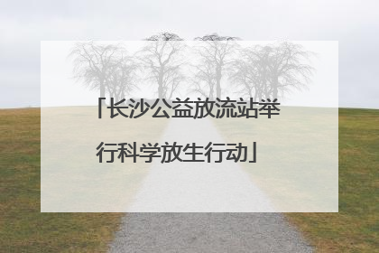 长沙公益放流站举行科学放生行动